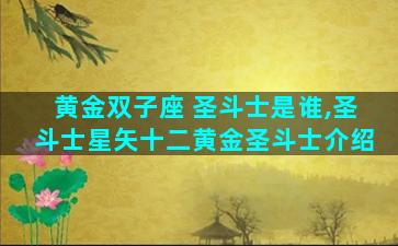黄金双子座 圣斗士是谁,圣斗士星矢十二黄金圣斗士介绍